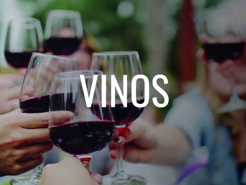 vinos las palmas